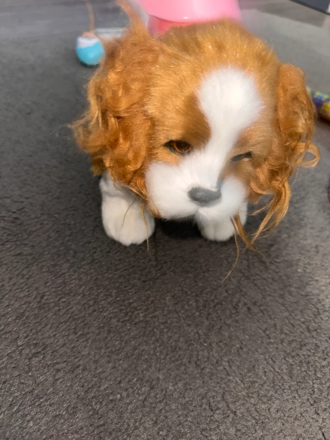 Cavalier King Charles Spaniel Dog Toy