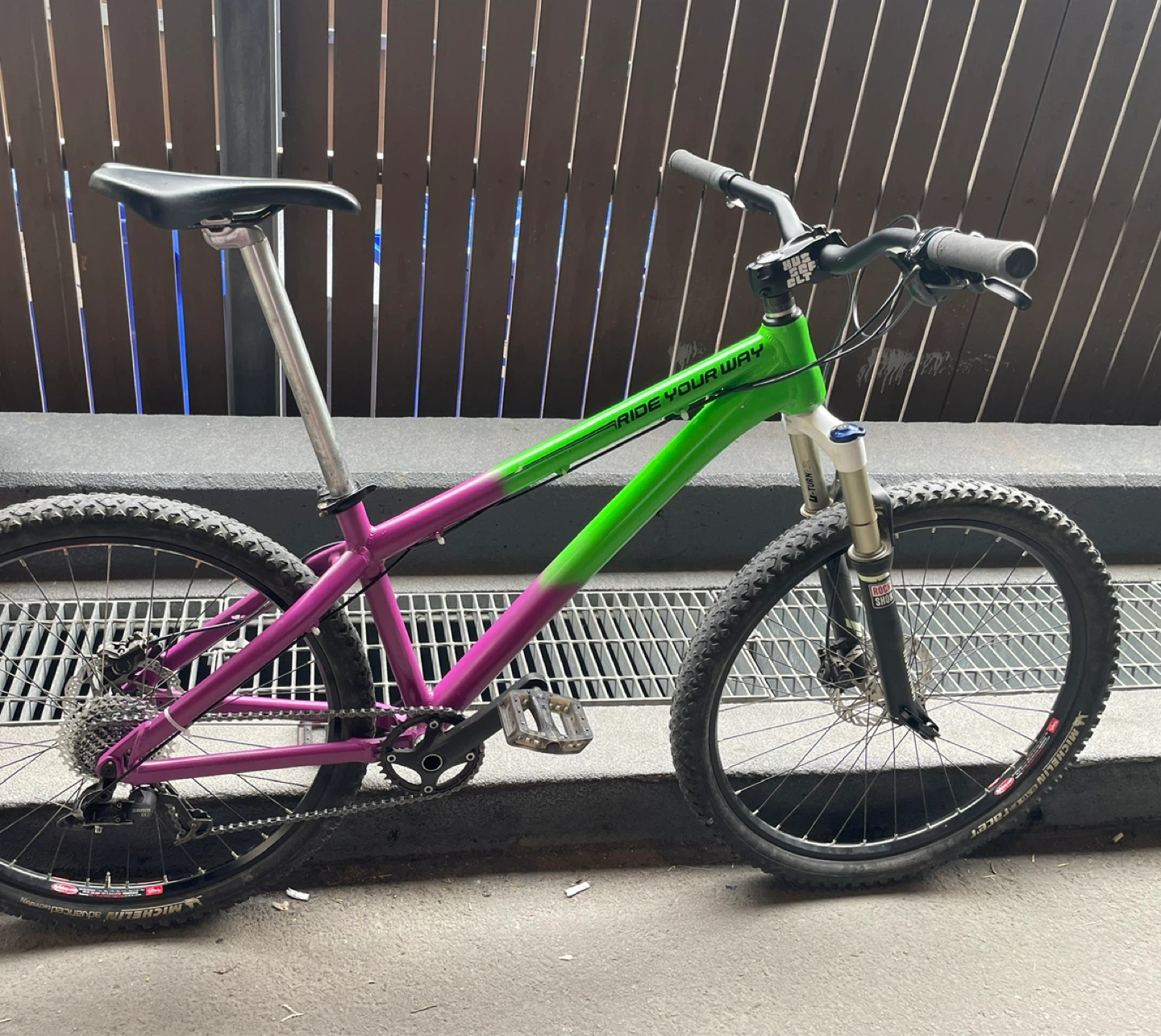 Mountain Bike - Green/Purple