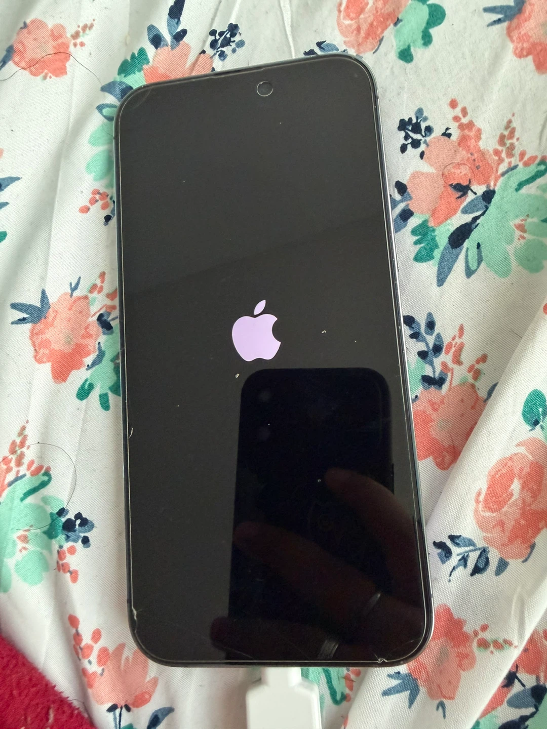 Apple iPhone 14 Pro Max - photo 3