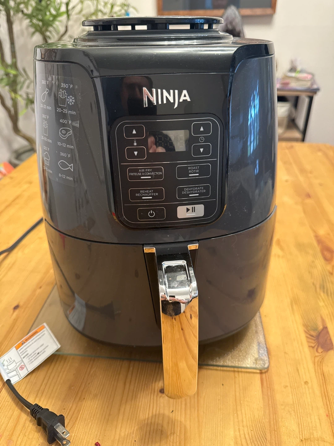 Ninja Air Fryer
