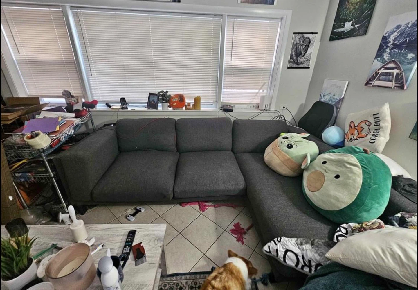 Dark Gray Sectional Couch