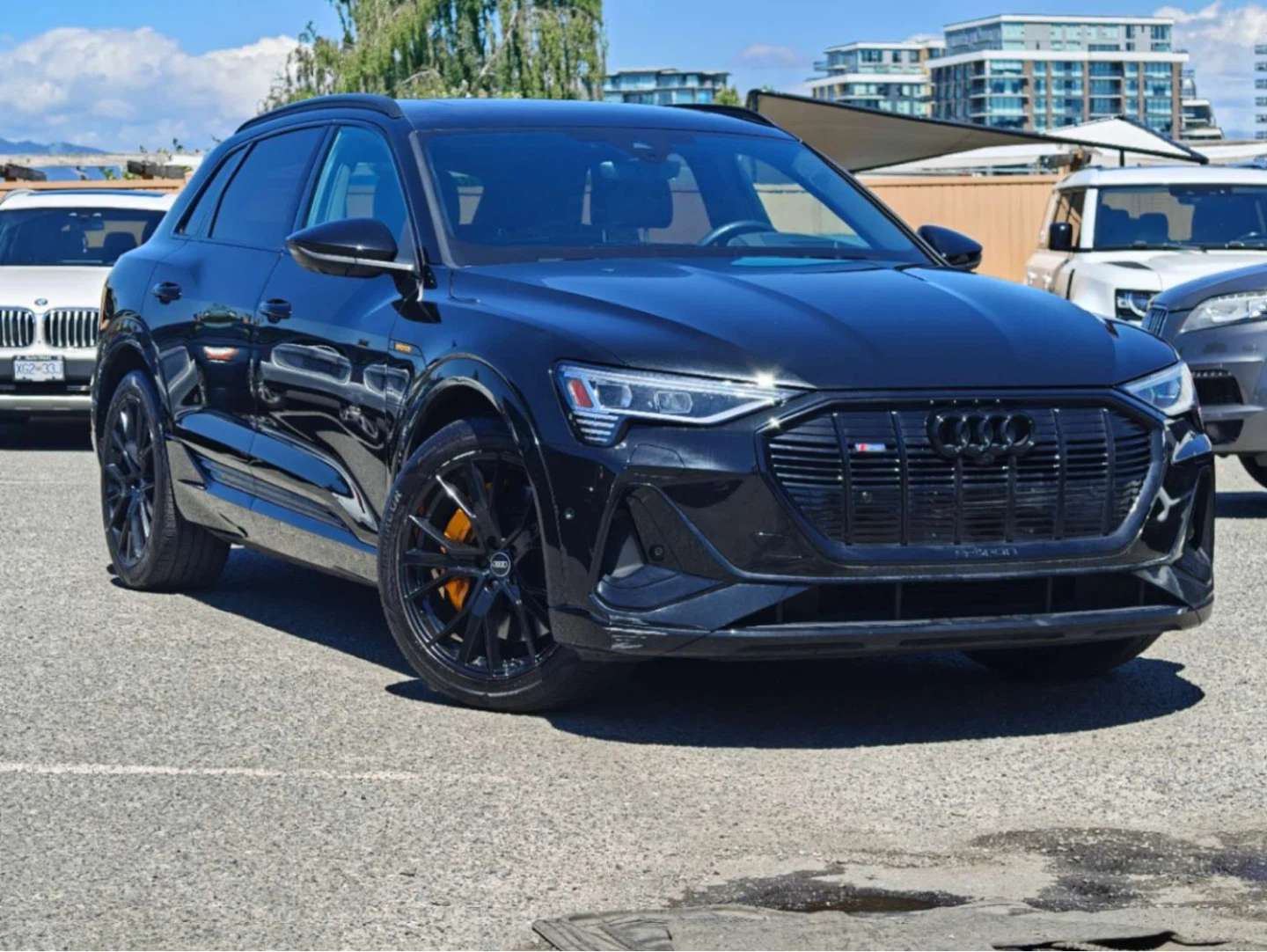 Audi e-tron RSQ8 - photo 2