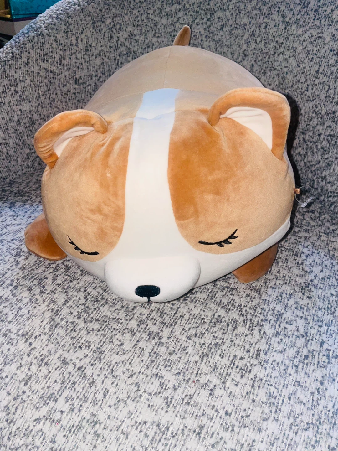 ⚽️ New Large Squishmallow Regina the Corgi plush