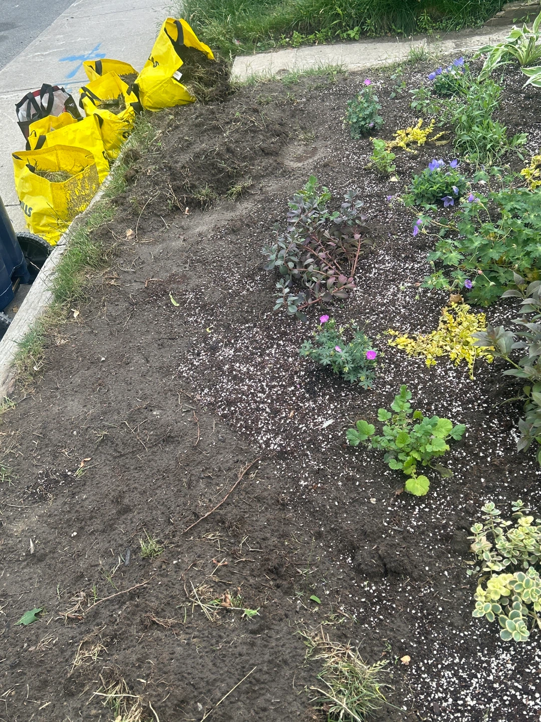 Free dirt! Garden infill - photo 2