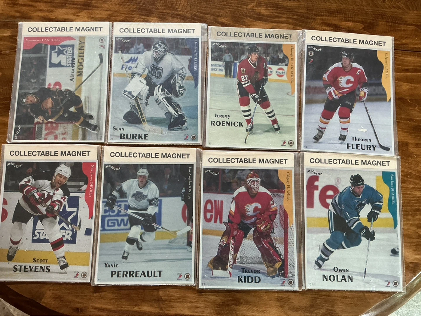 8. 1996 Maggers NHL Collectable Magnets !