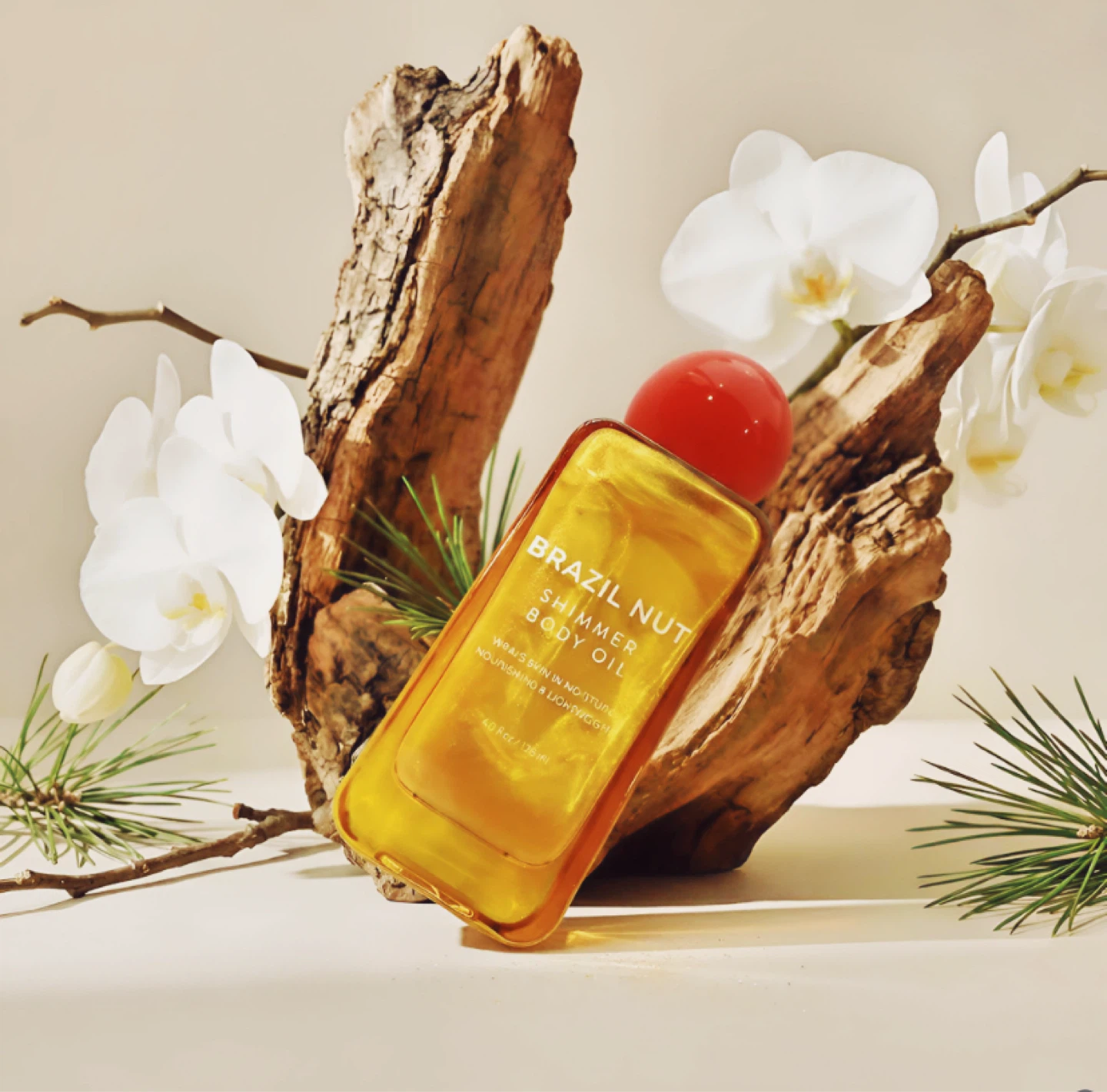 Brazil Nut Shimmer Body Oil - 4.0 fl oz