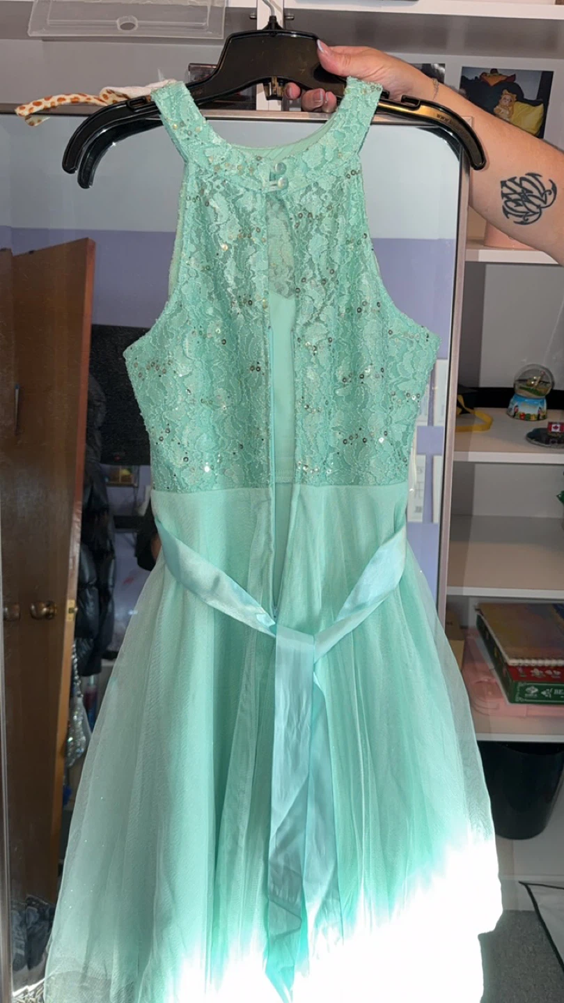 LE CHÂTEAU Mint Green Sequin Lace Dress
