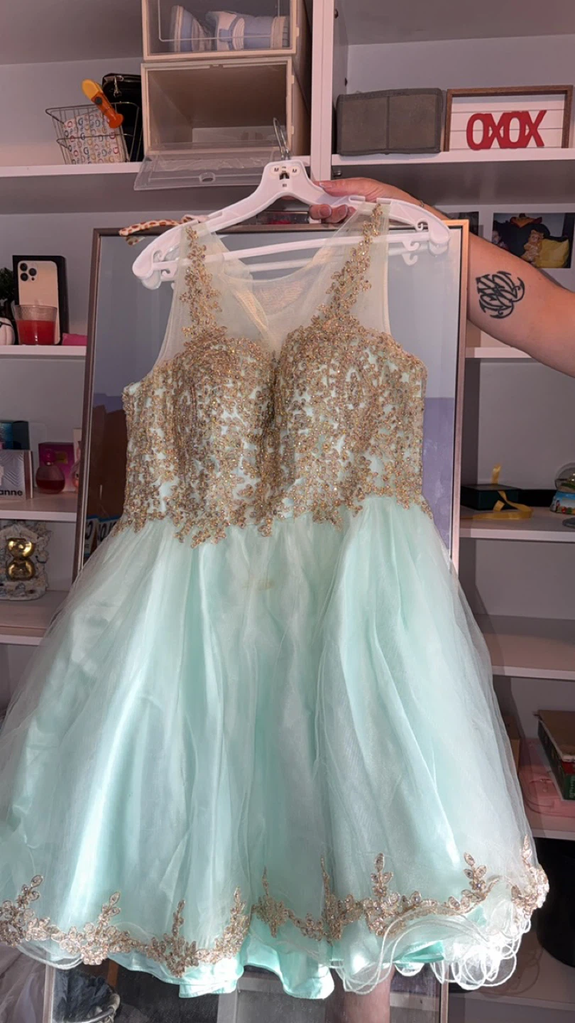 Mint Green & Gold Party Dress - photo 2
