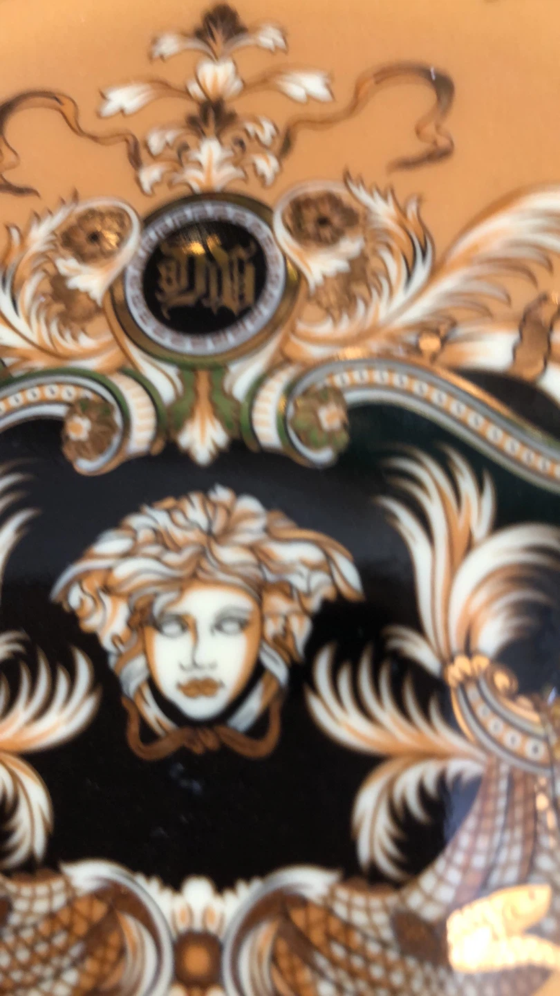 Versace Medusa Plate Set 8 persons - photo 5