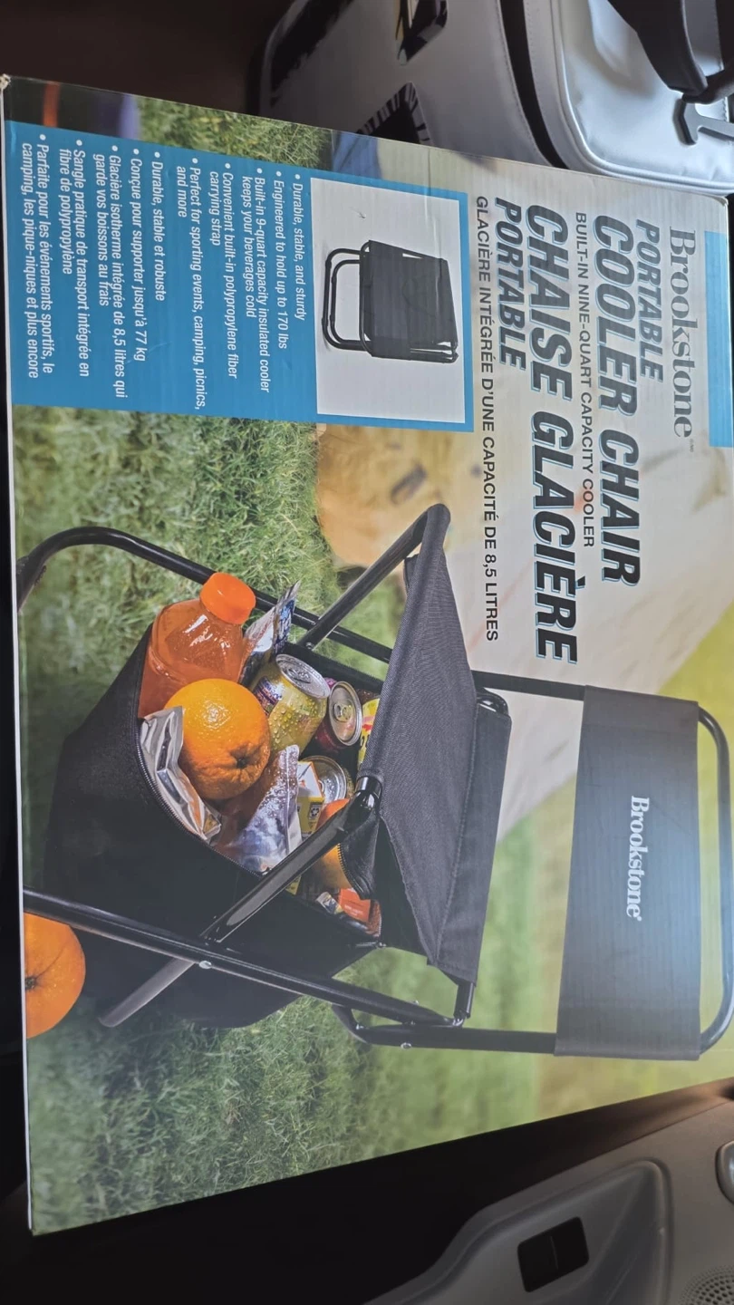 Brookstone Portable Cooler Chair