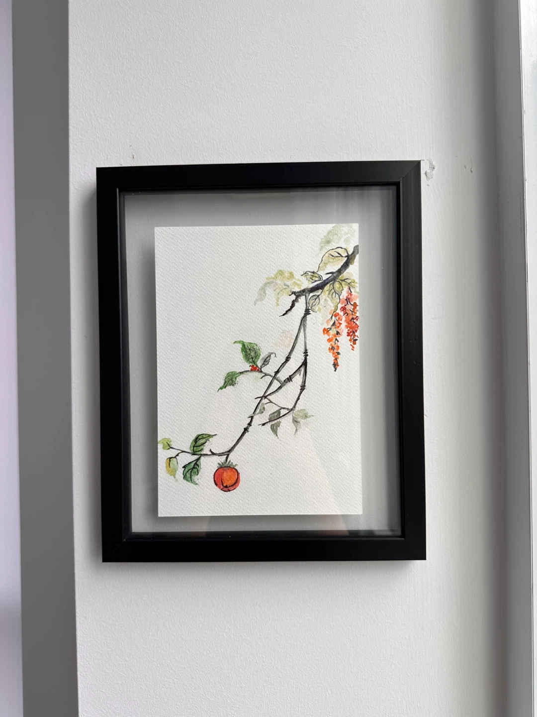 Framed Watercolour Painting of a Branch with Fruit - photo 4