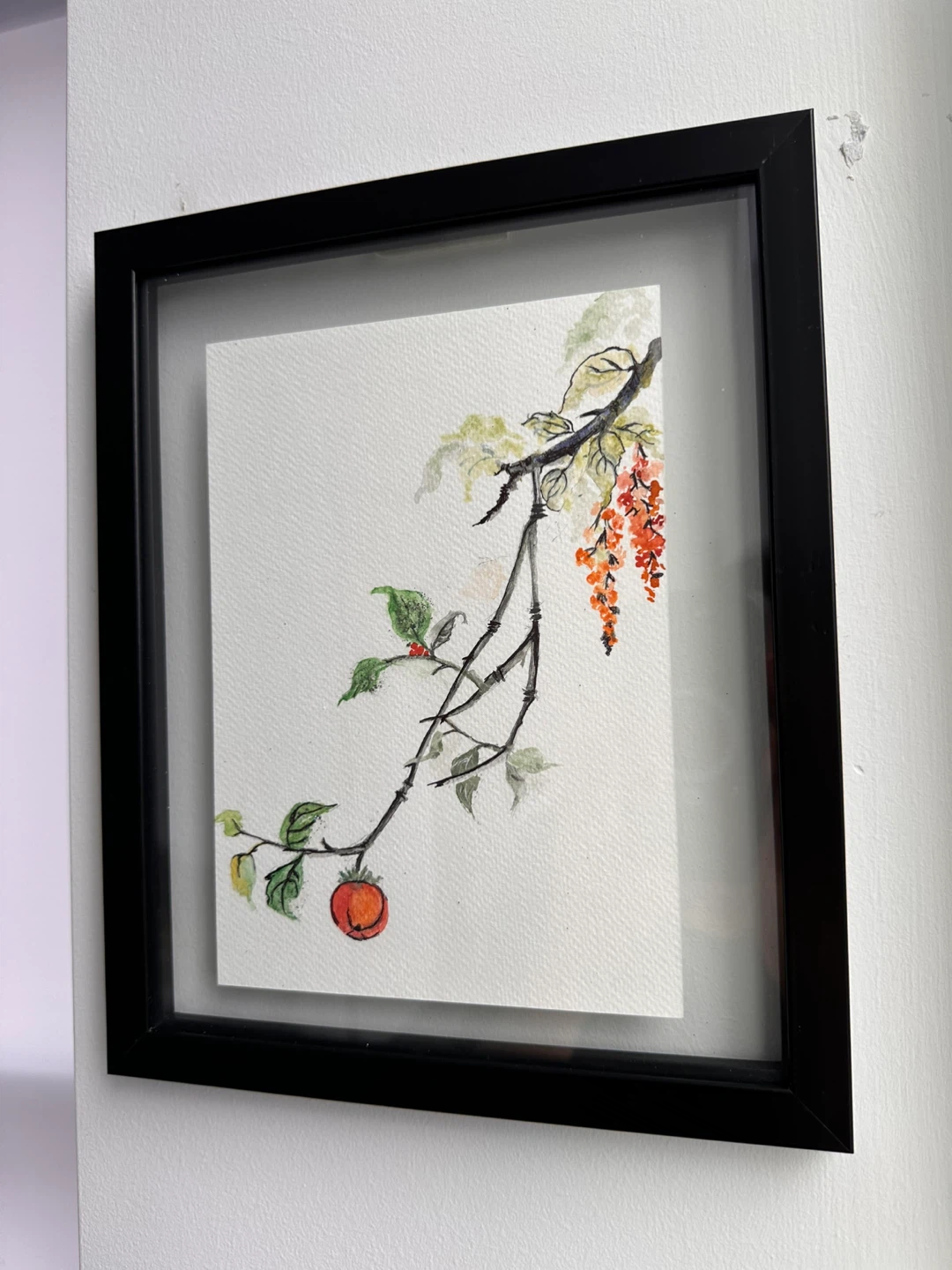 Framed Watercolour Painting of a Branch with Fruit - photo 3