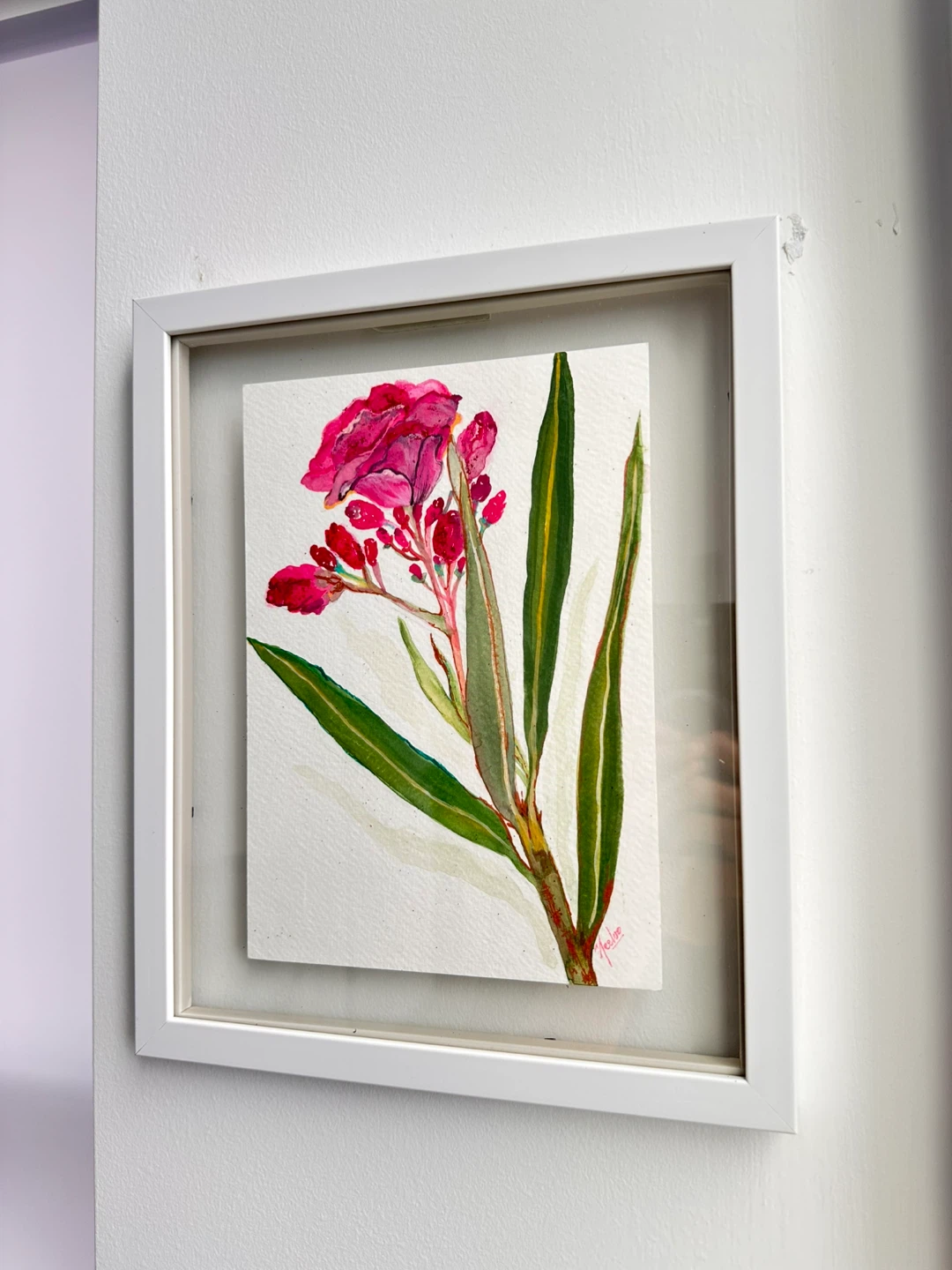 Framed Watercolour painting of a pink flower