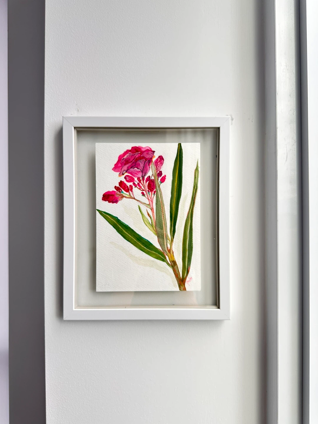 Framed Watercolour painting of a pink flower - photo 2