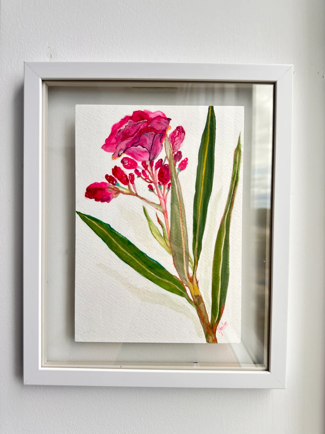 Framed Watercolour painting of a pink flower - photo 4
