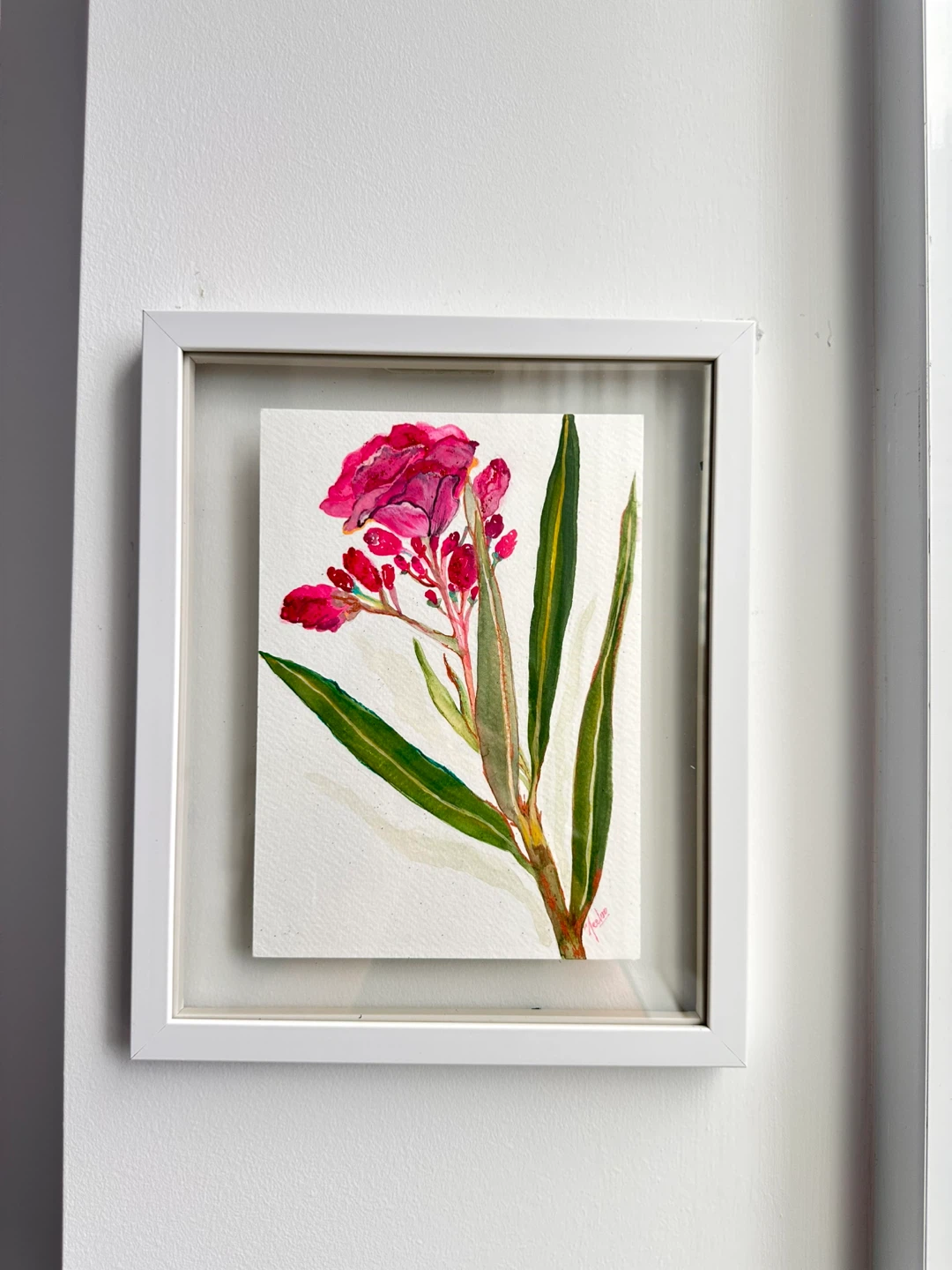 Framed Watercolour painting of a pink flower - photo 3