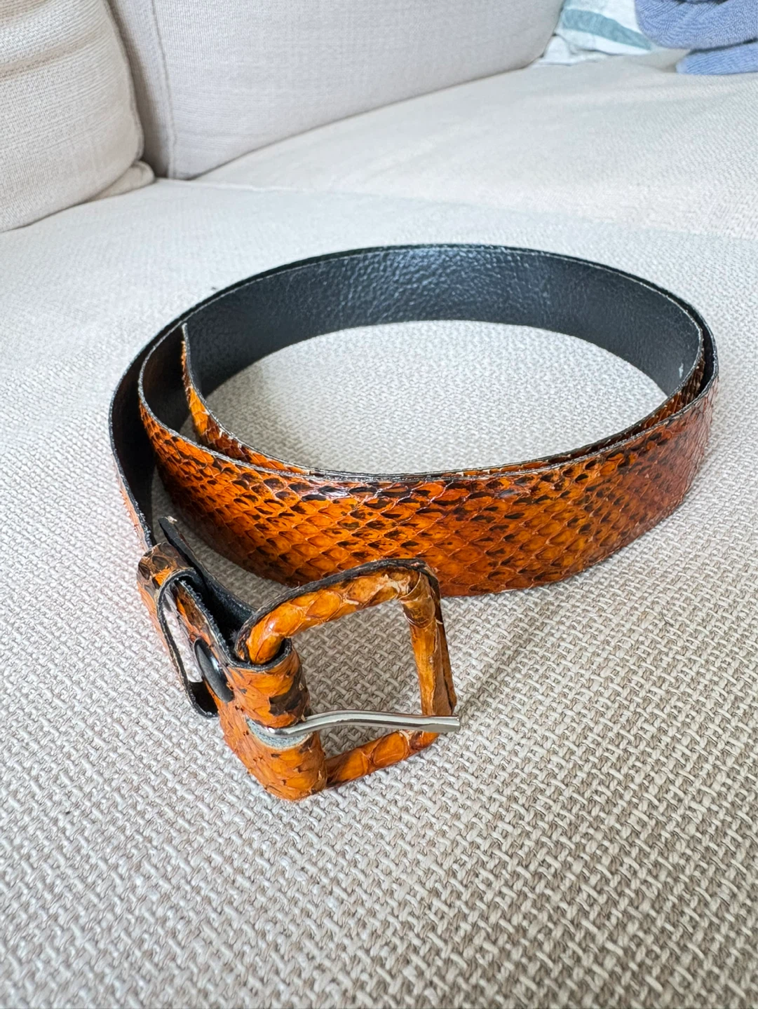 Orange Snake women Belt with Square Buckle - photo 3