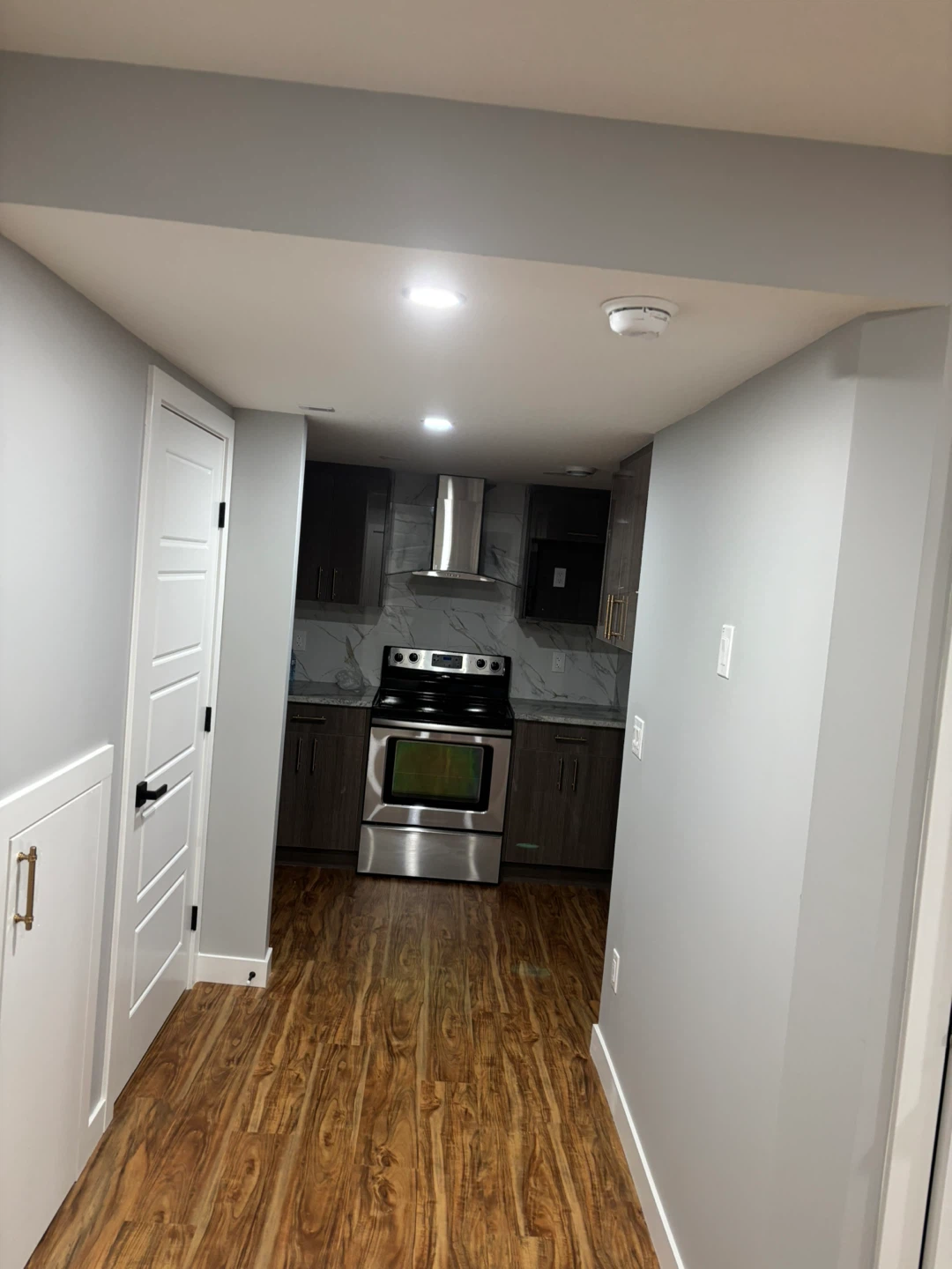 Newly Renovated Basement Suite with Kitchenette - photo 2