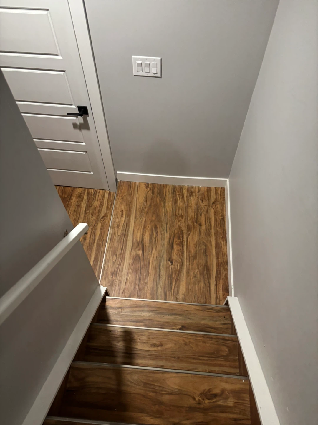 Newly Renovated Basement Suite with Kitchenette - photo 3