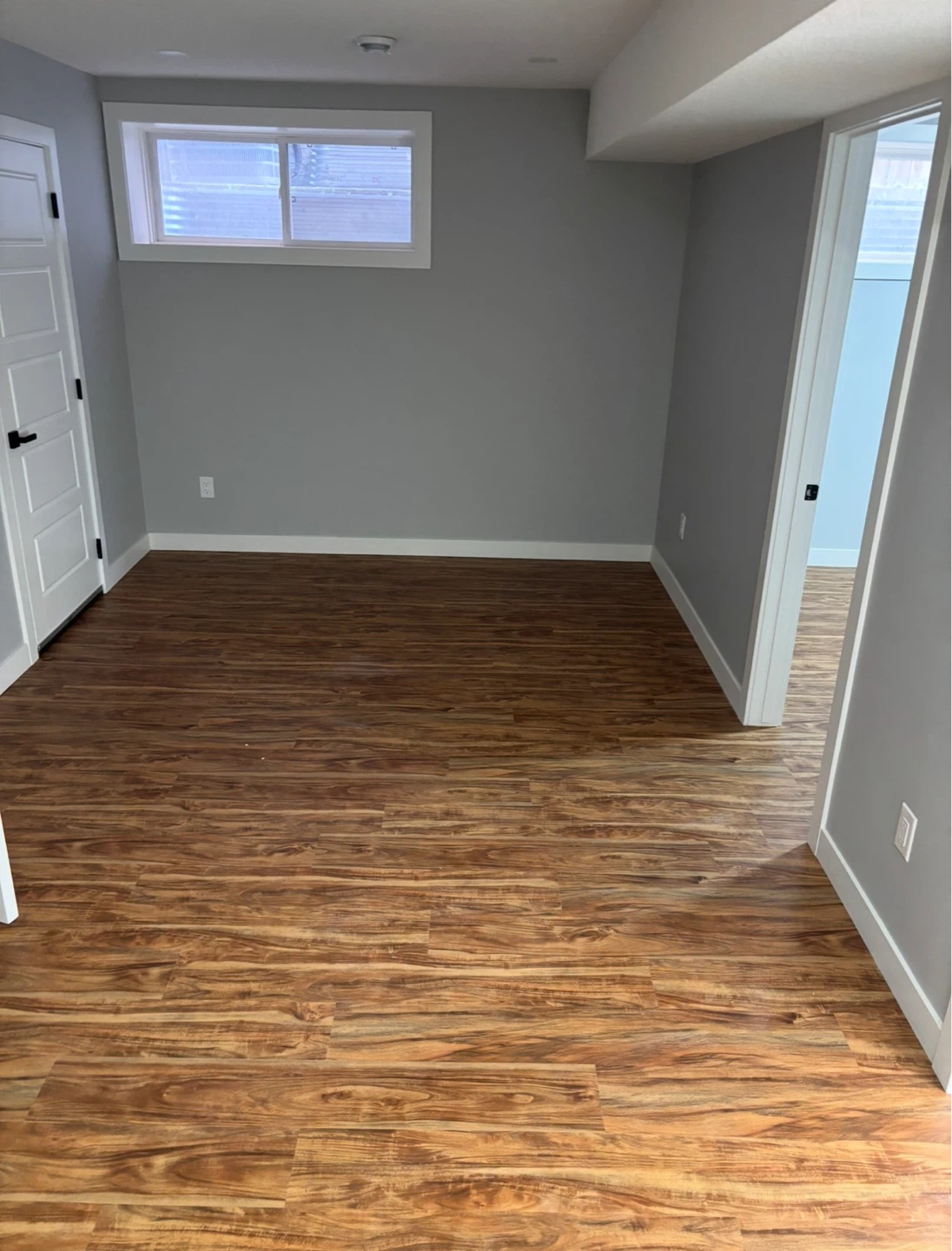 Newly Renovated Basement Suite with Kitchenette - photo 4