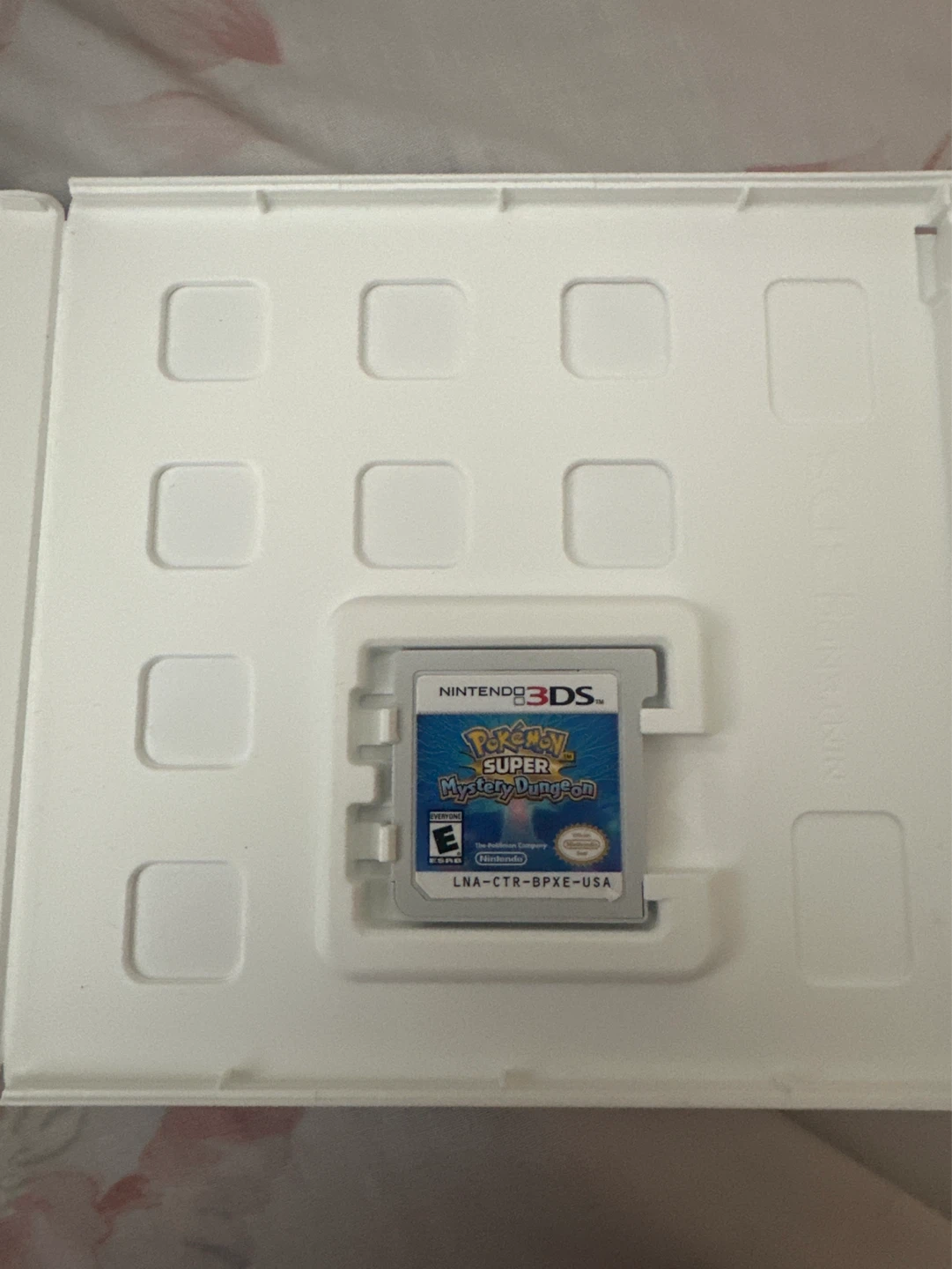 Pokemon Super Mystery Dungeon - photo 2