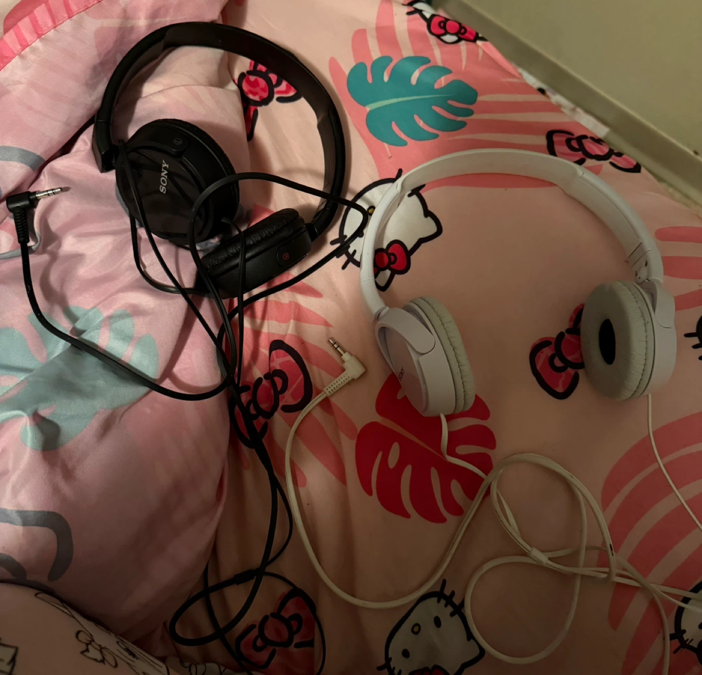 Sony Headphones - Black and White