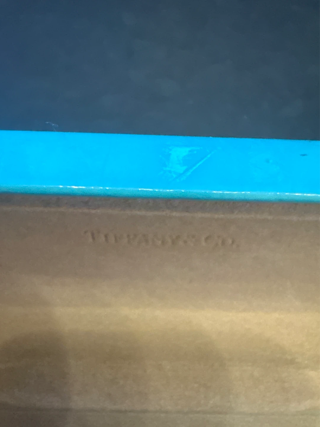 Tiffany & Co. Eyeglasses Case - photo 4