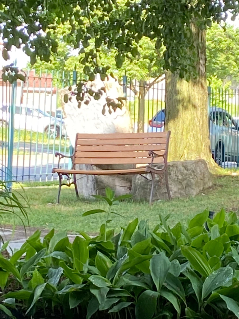 Wooden Park Bench with Metal Frame - photo 2
