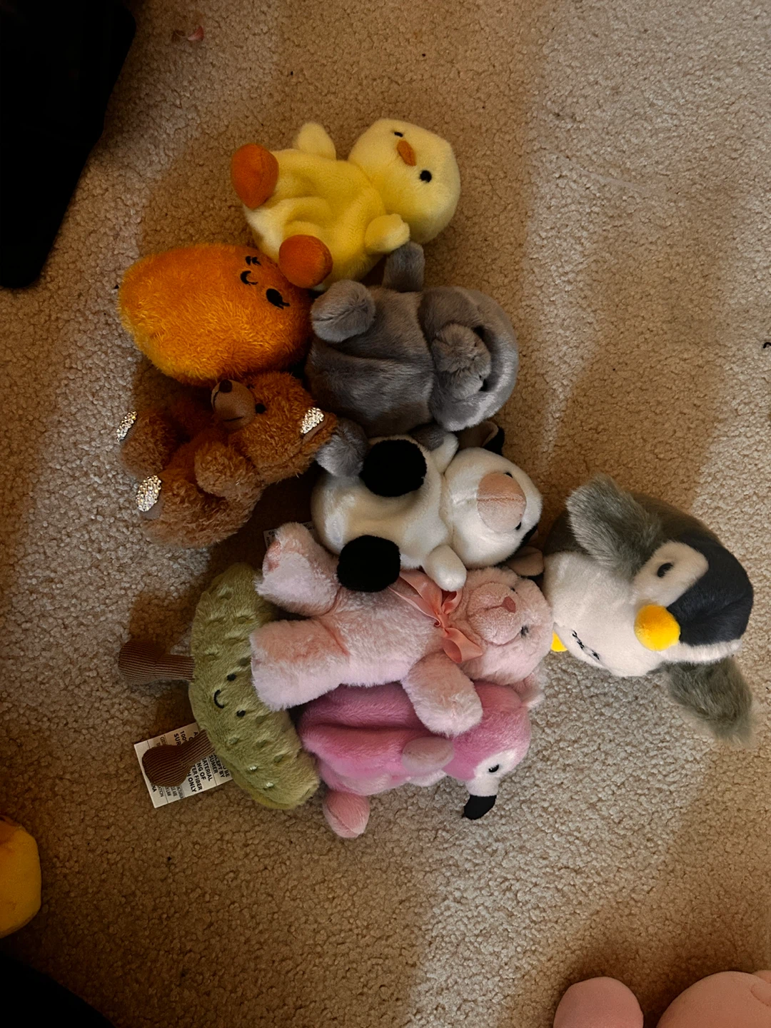 Plush Animal Toys