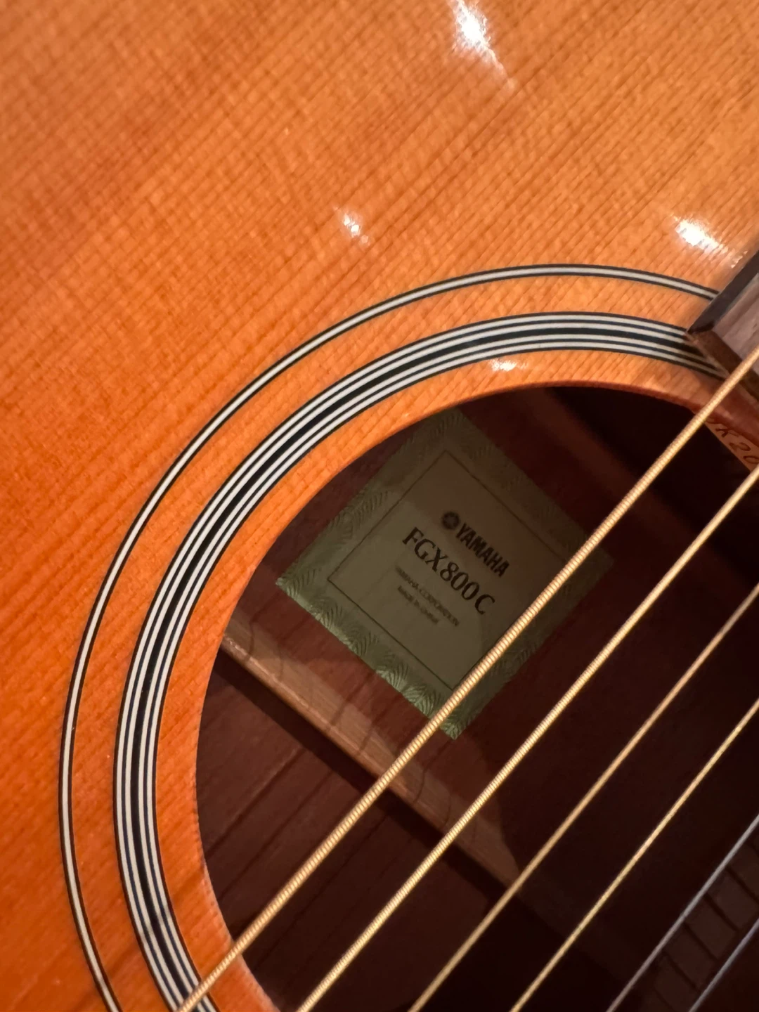 Yamaha FGX800C Acoustic Electric Guitar - photo 2