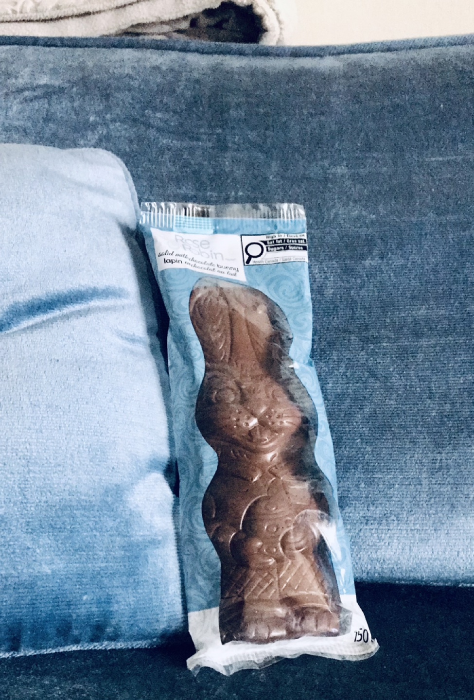 Large Chocolate Bunny ✨NEW