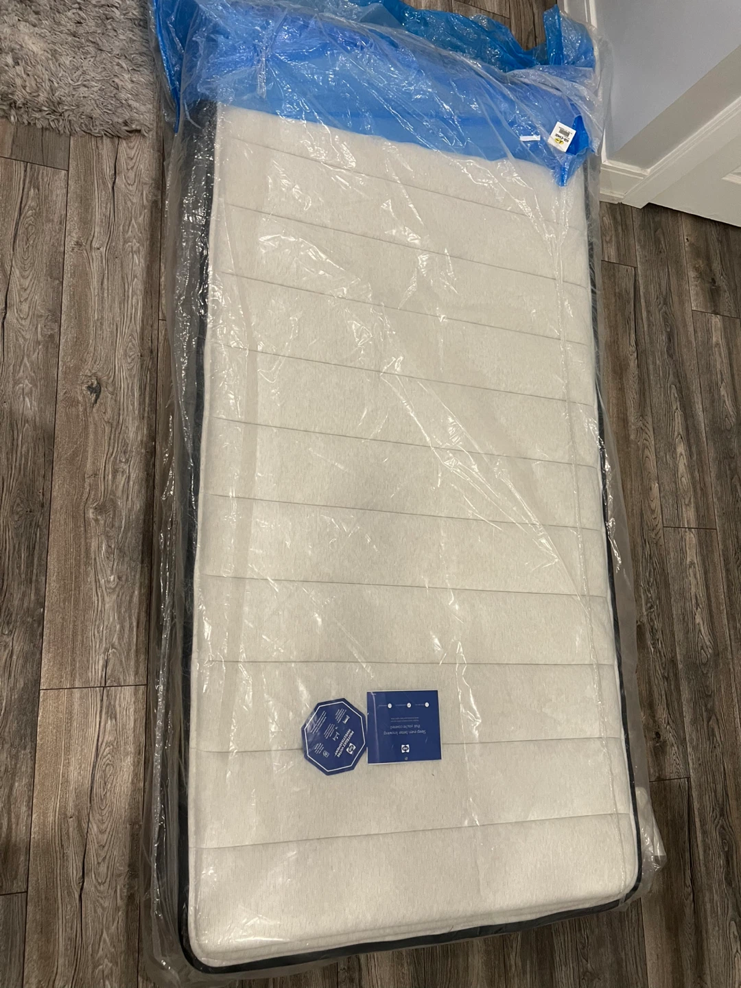Sealy Twin Mattress