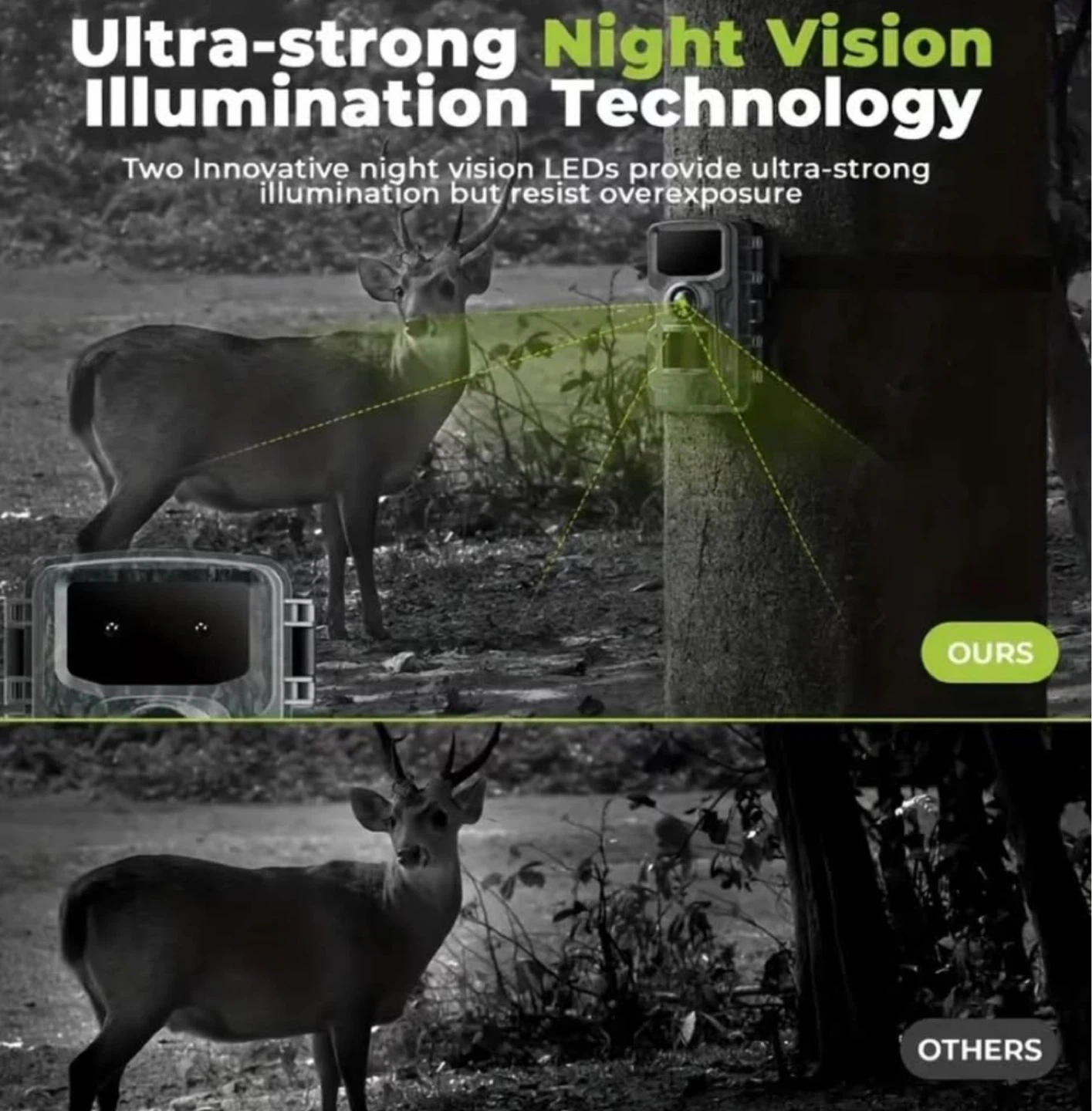 New Trail Camera - photo 3
