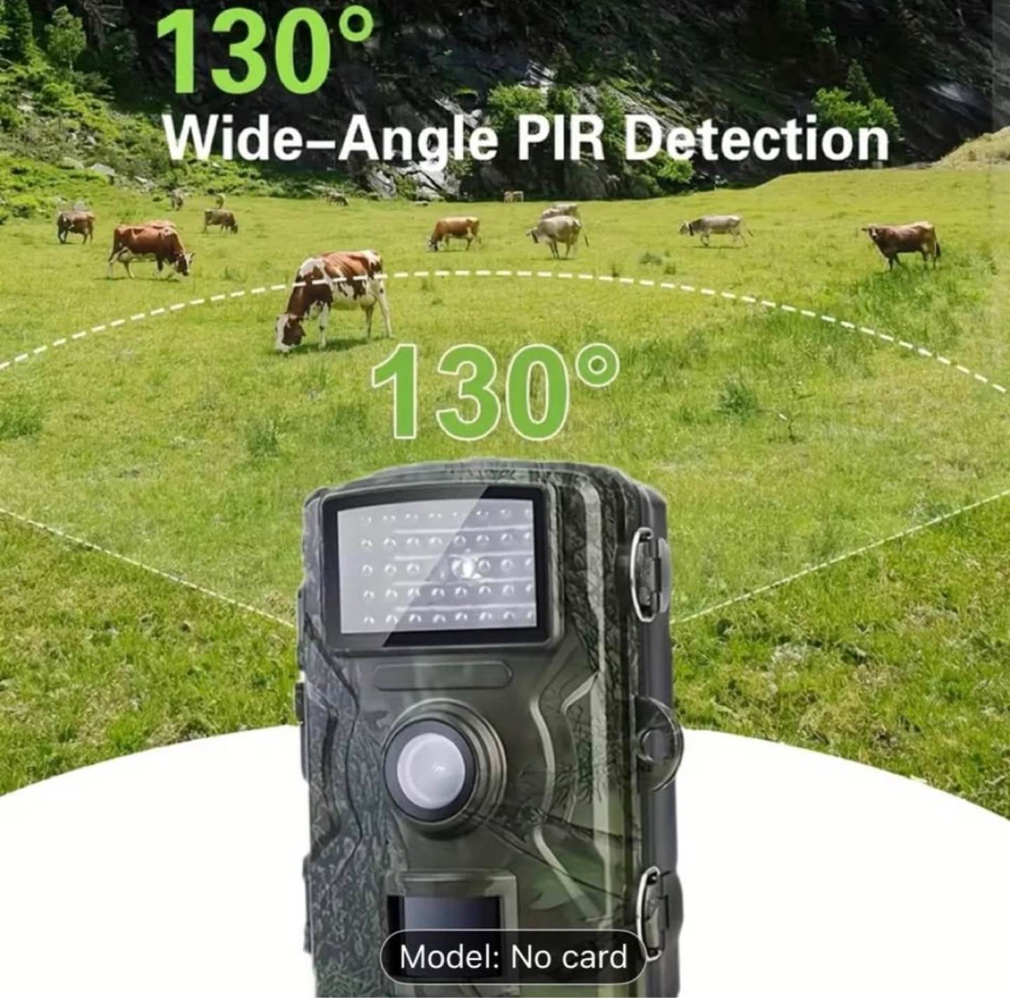 New Trail Camera - photo 2
