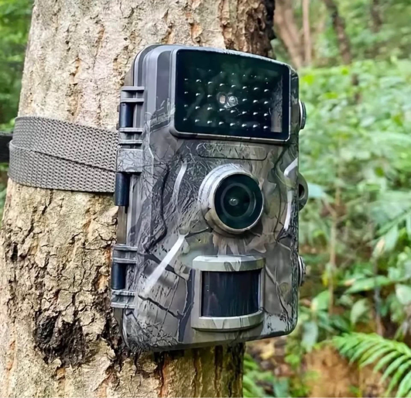 New Trail Camera