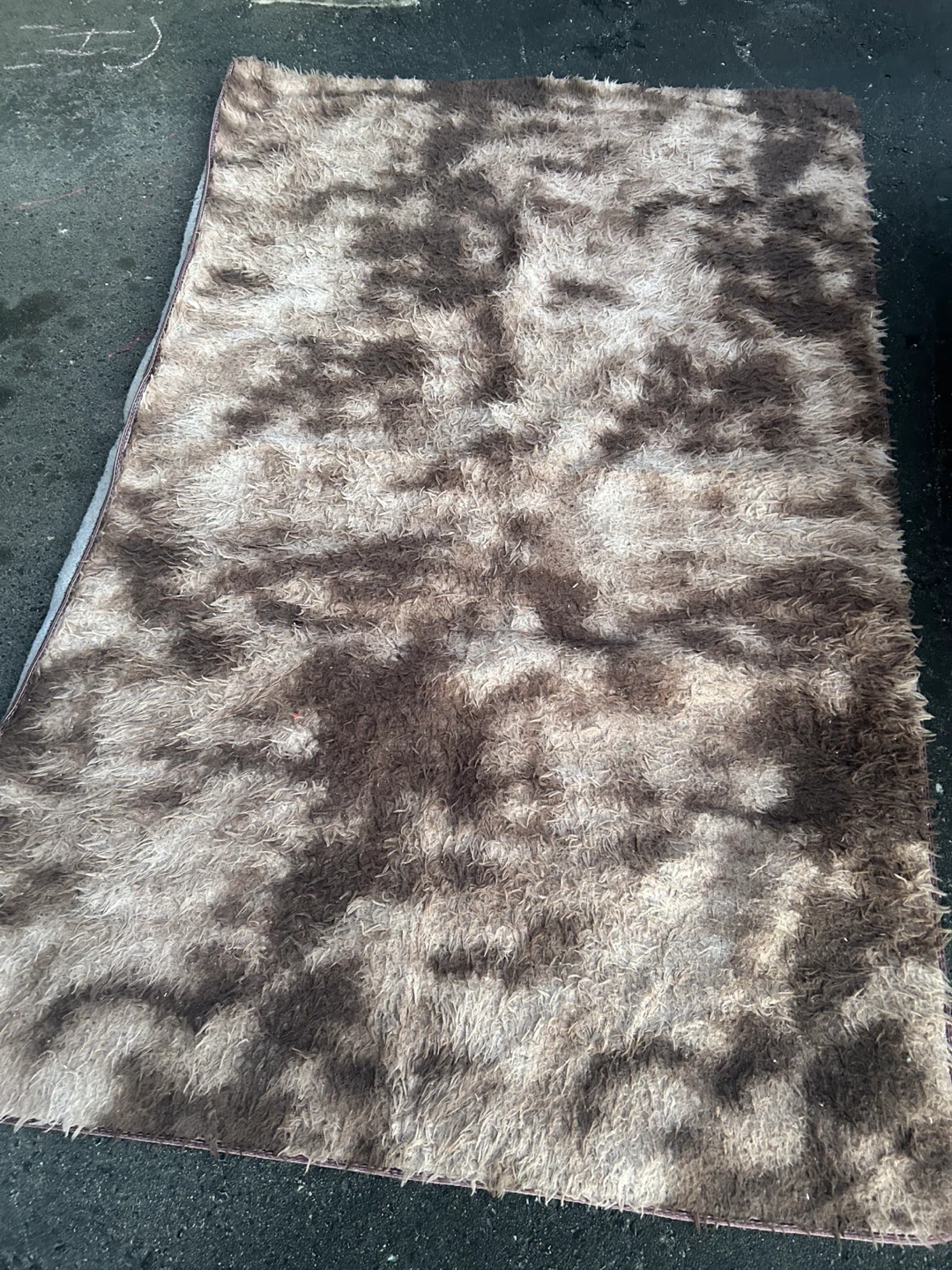 Floor Carpet