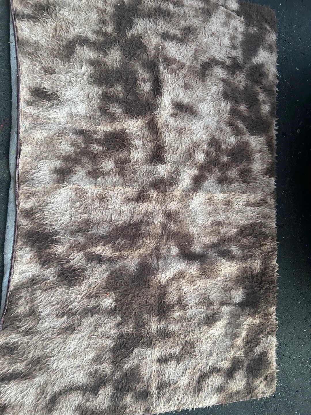 Floor Carpet - photo 2