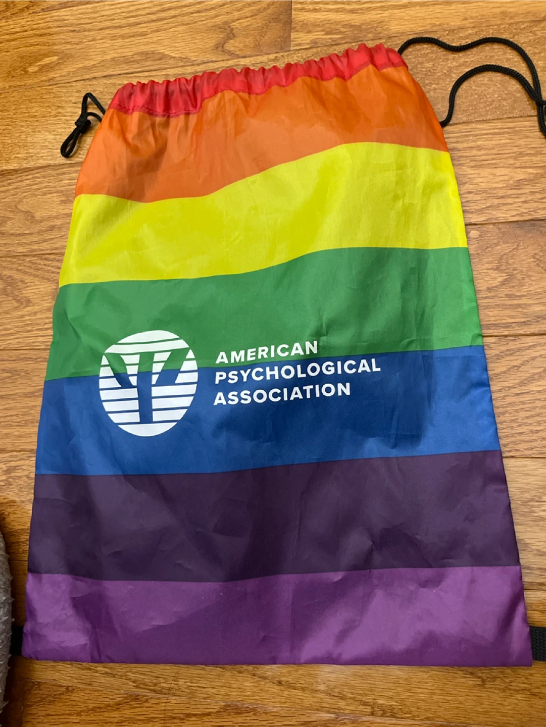 ⚽️American Psychological Association Rainbow Drawstring Bag