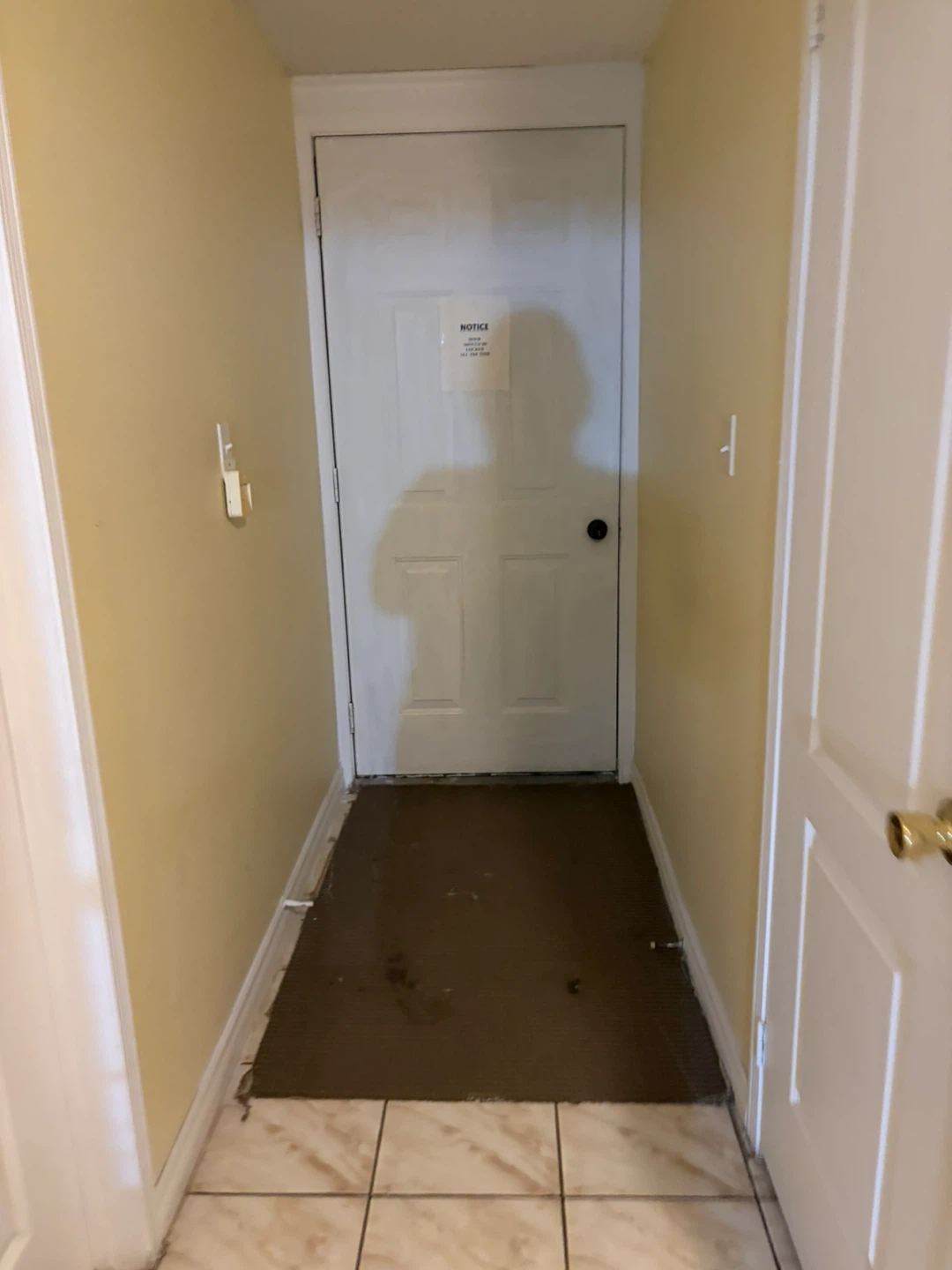 2 Bedroom Basement Apartment for rent - photo 5