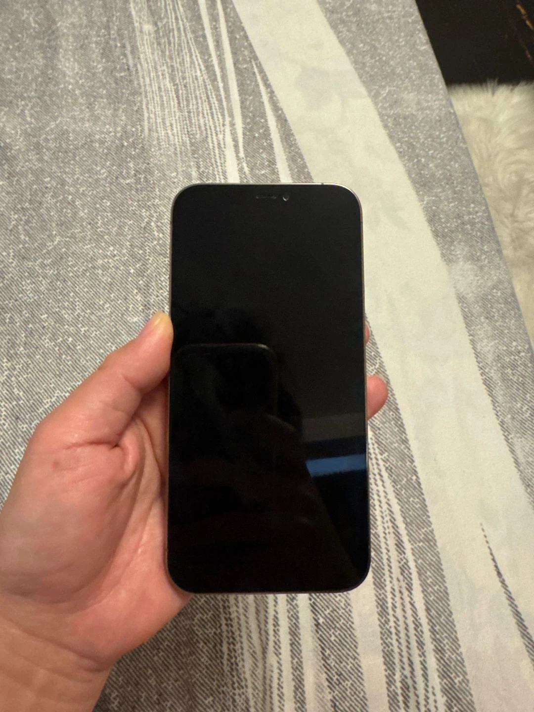 Apple iPhone 12 Pro - photo 2