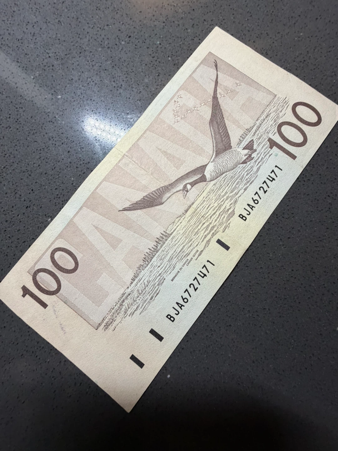 Canadian $100 Bank Note - photo 2
