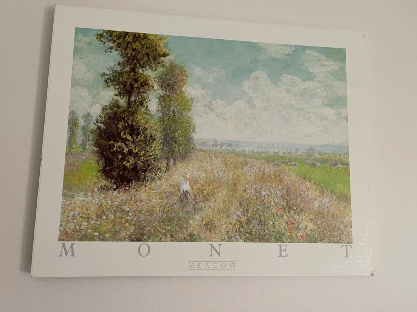 Monet Meadow Print