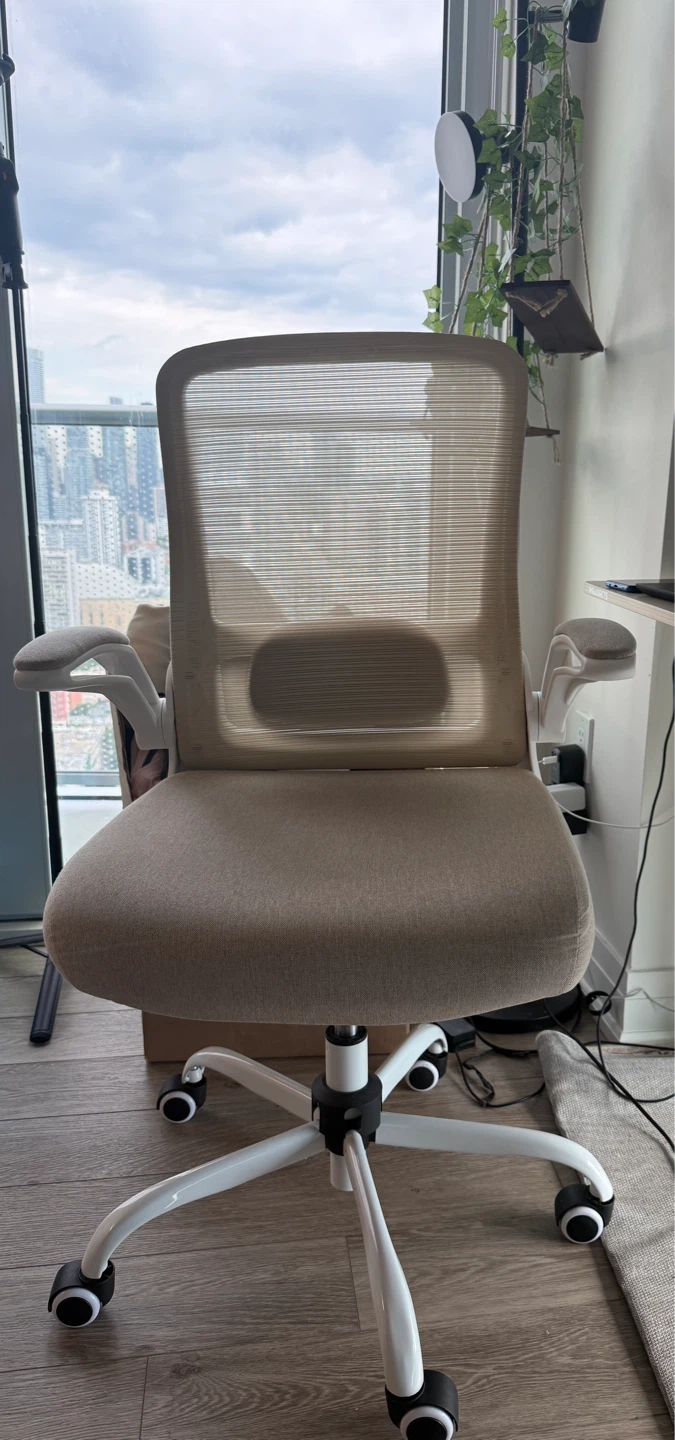 Moving Sale - Electric Standing Desk + Office Chair - photo 3