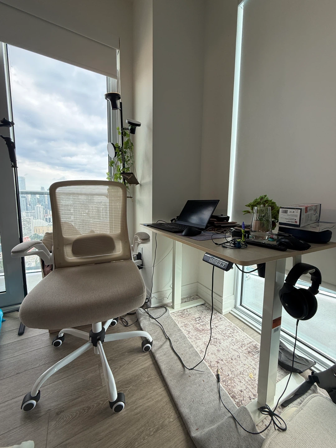 Moving Sale - Electric Standing Desk + Office Chair