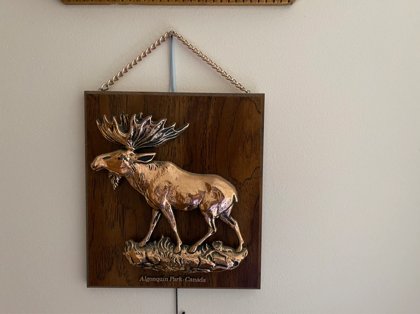 Algonquin Park Canada Moose Wall Plaque