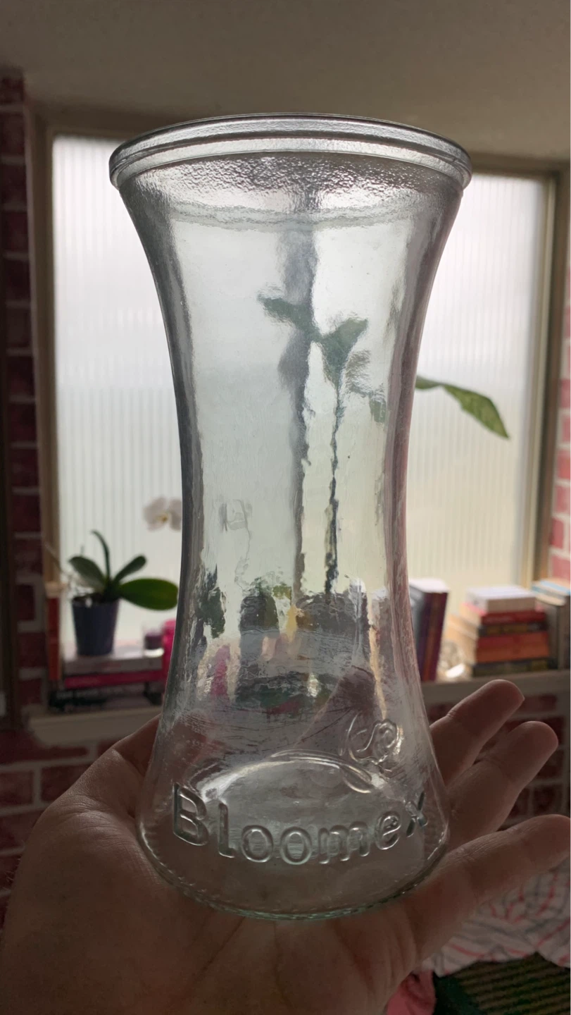 Bloomex 8” Glass Vase ⚽️