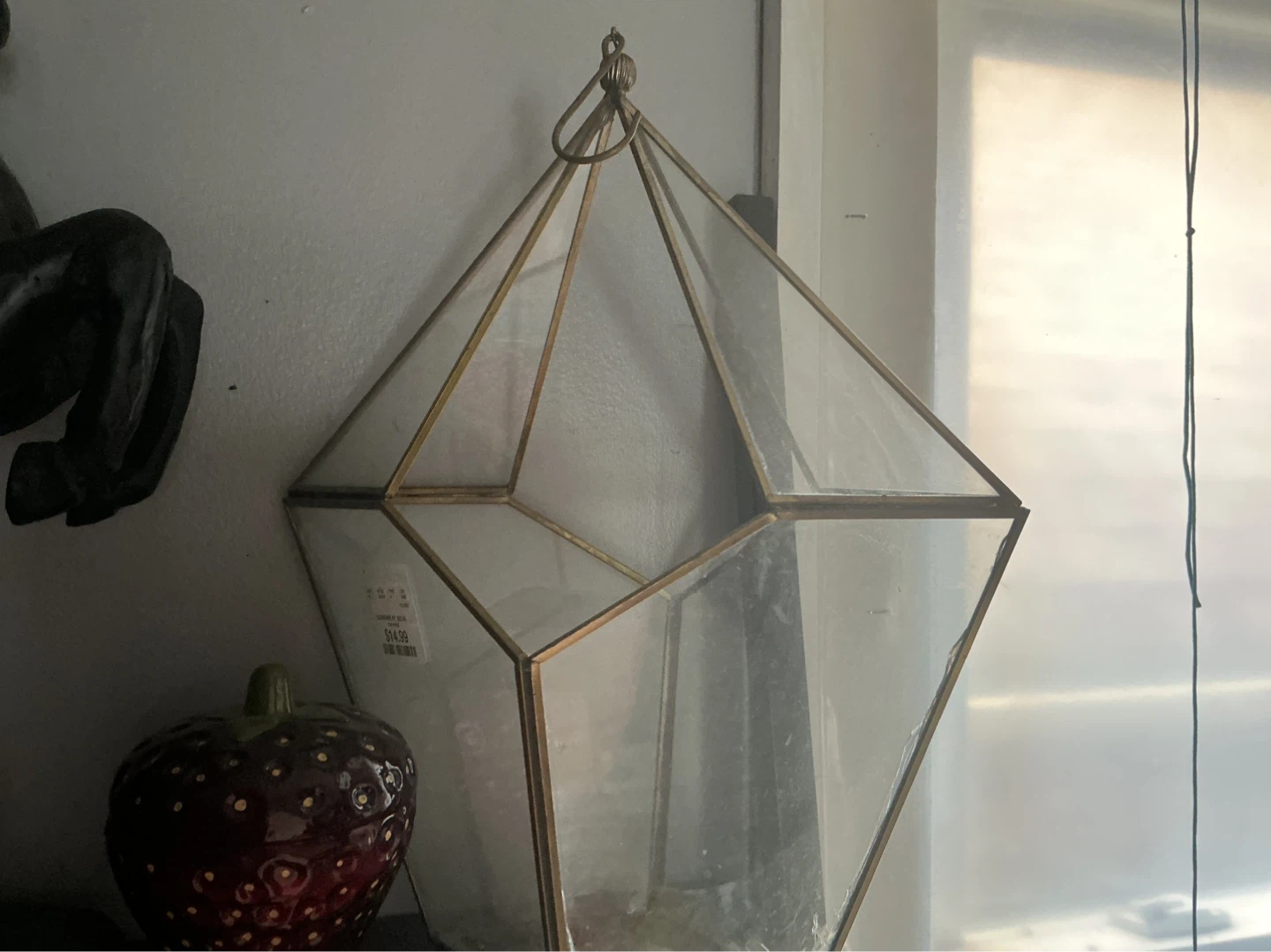 Geometric Glass Terrarium Hanging Decor ⚽