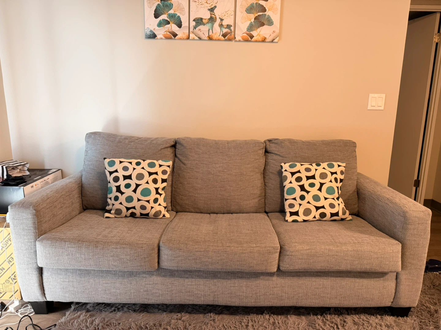 Grey Sofa with Accent Pillows with 3 wall frames