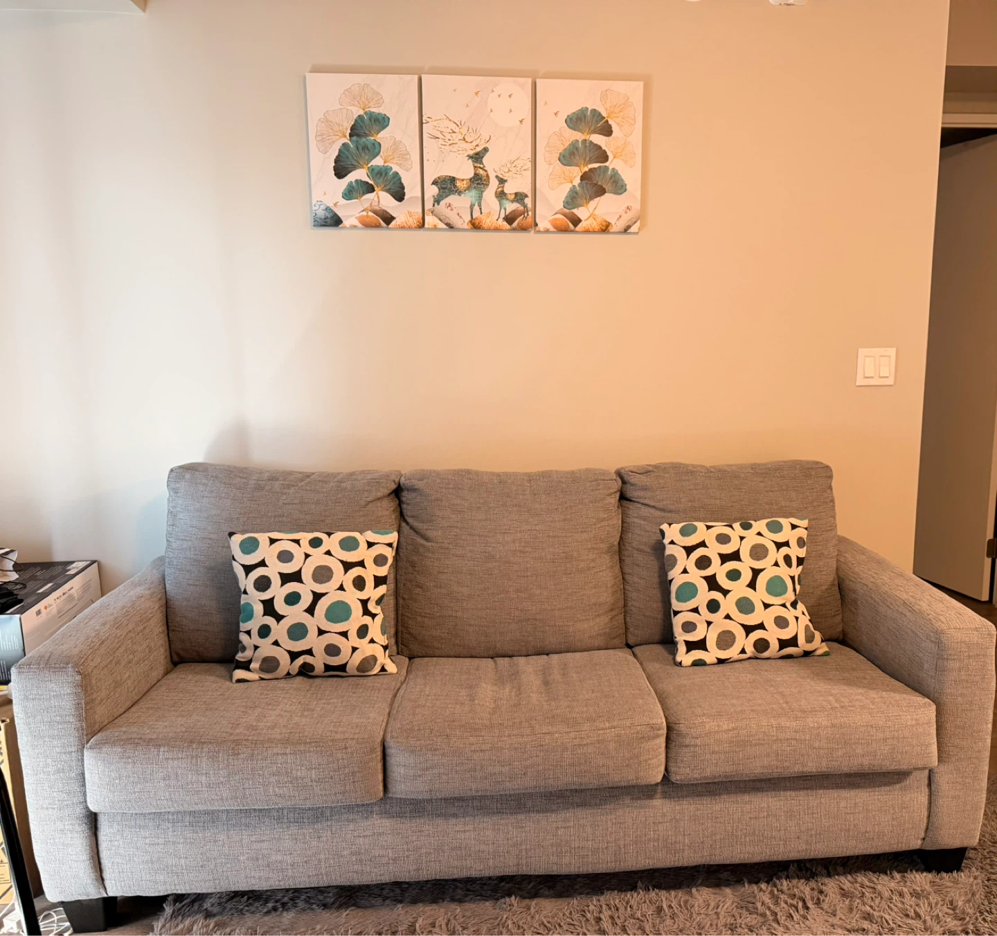 Grey Sofa with Accent Pillows with 3 wall frames - photo 2
