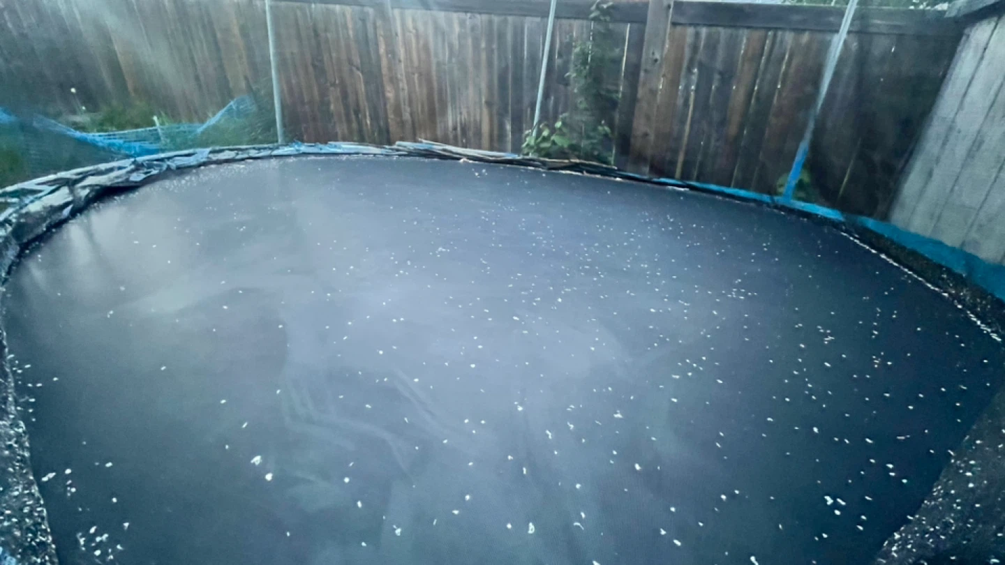Trampoline - photo 5